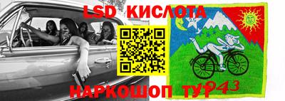spice Бердск