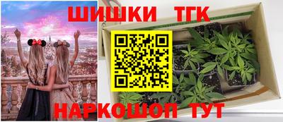spice Бердск