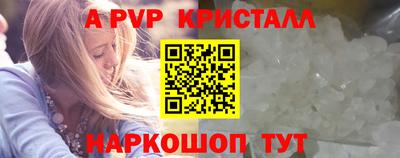 spice Бердск