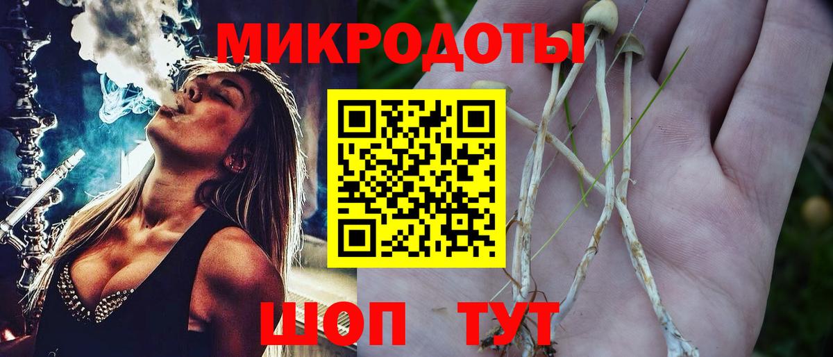 Щёлково  Галлюциногенные грибы Psilocybine cubensis  что такое наркотик  Вход с VPN 